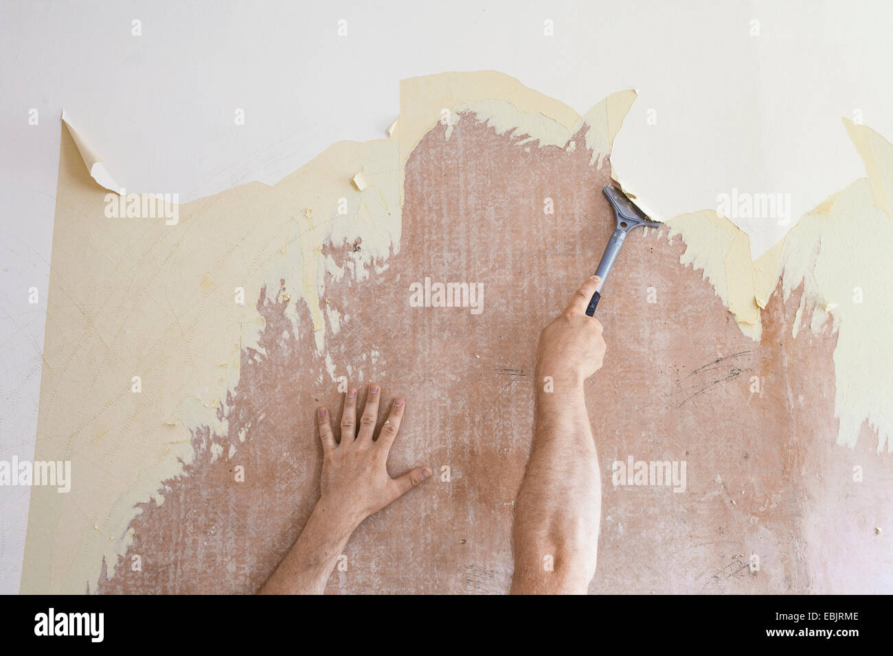 Uomo maturo con il raschiatore di raschiare via il vecchio wallpaper Foto Stock