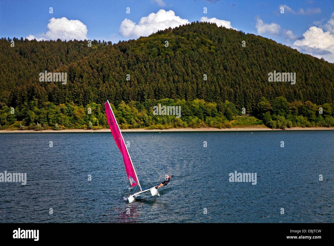 Catamarano a vela sul Biggesee, in Germania, in Renania settentrionale-Vestfalia, Sauerland, Attendorn Foto Stock
