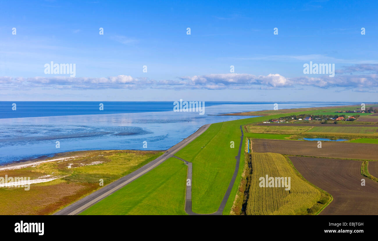Vista di un mare del Nord dike dal faro Campen, Germania, Bassa Sassonia, Frisia orientale, Campen Foto Stock