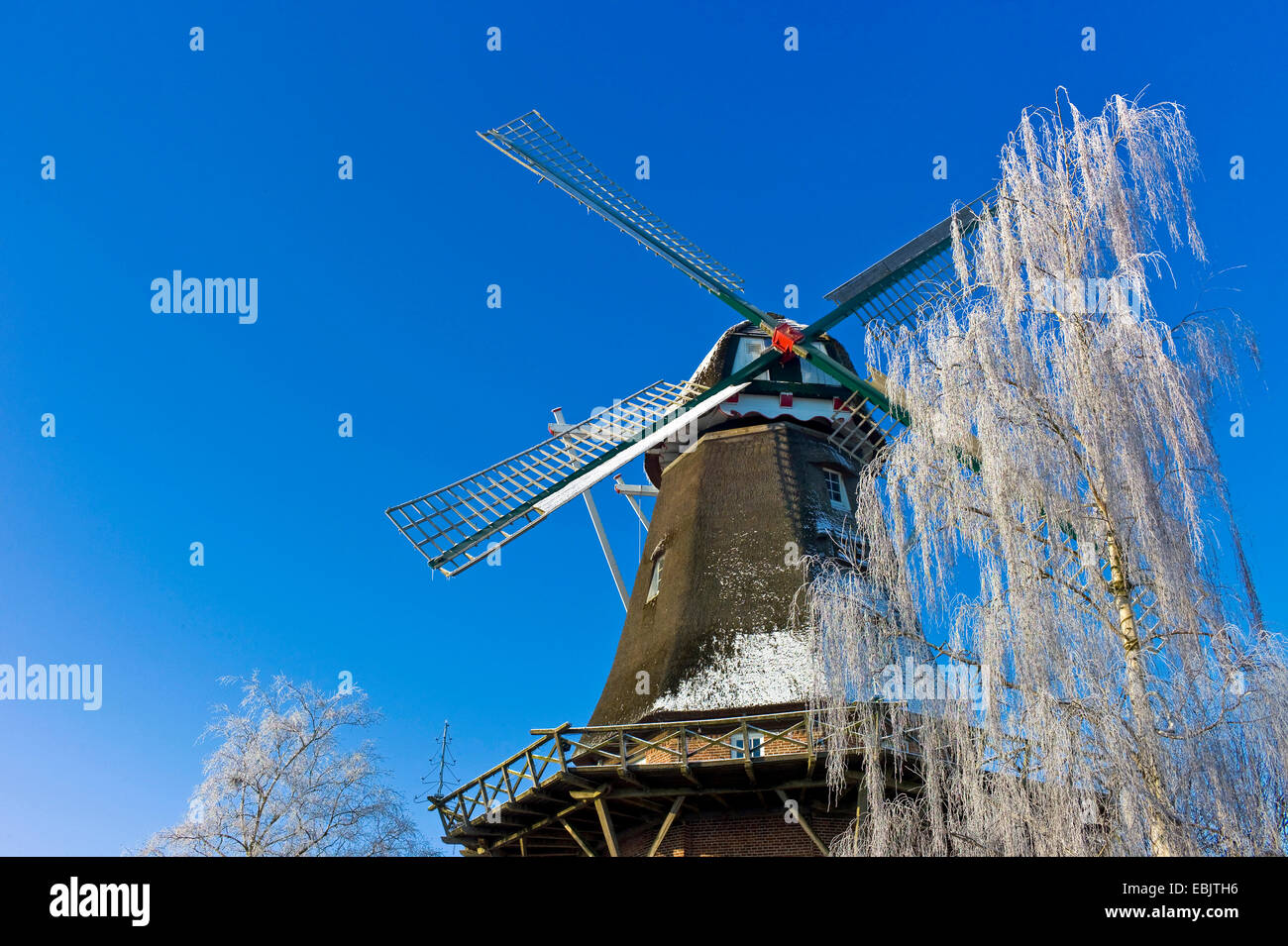 Mulino a vento di Hinte in inverno, Germania, Bassa Sassonia, Frisia orientale, Hinte Foto Stock