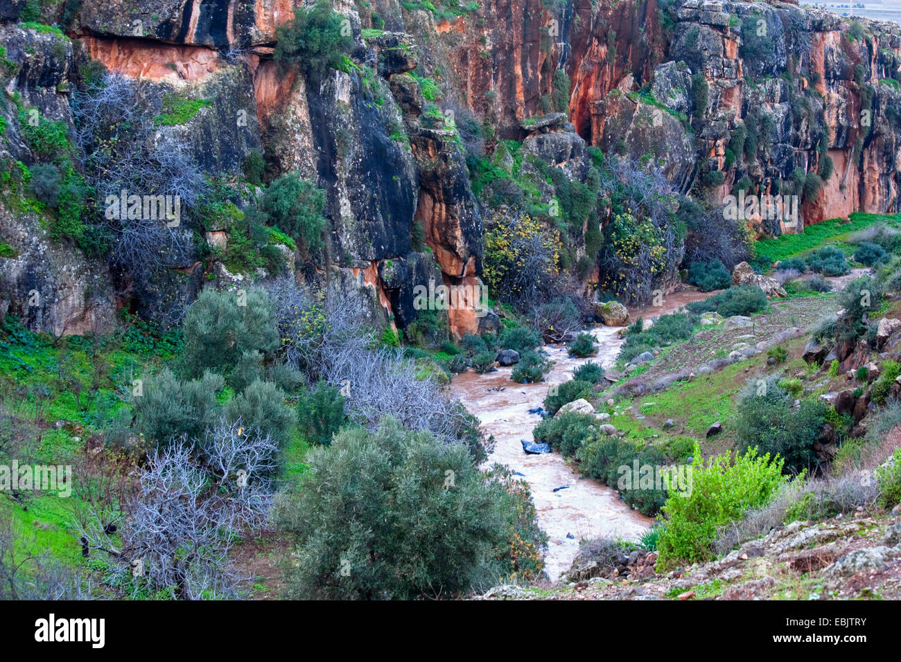 River Valley, Marocco, Taza-Al Hoceima-Taounate, Tazekka Parco Nazionale Foto Stock