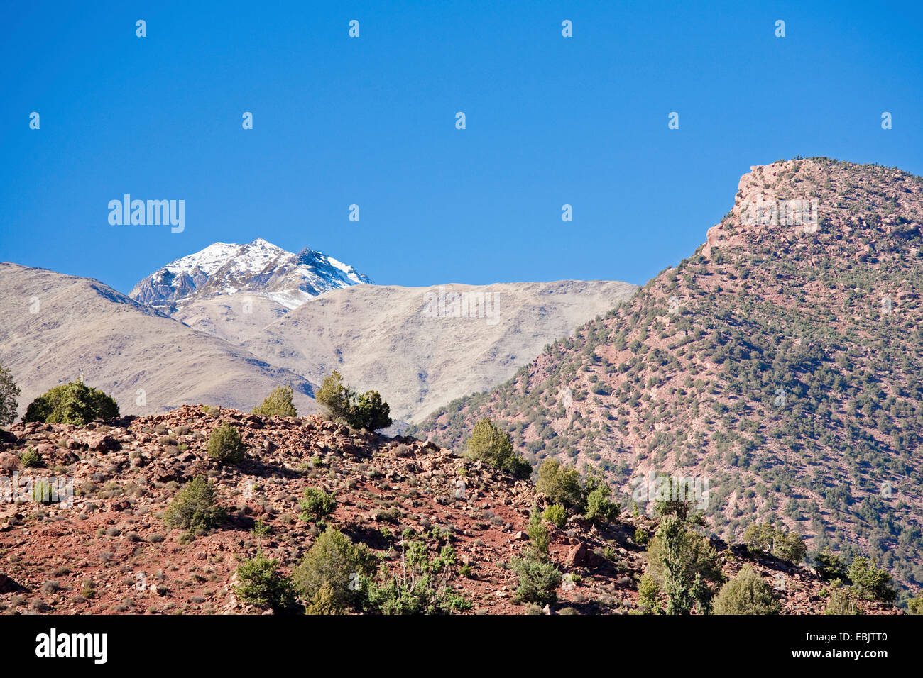 Toubkal Mountain, il picco più alto delle montagne Atlas, Marocco, Marrakech, Atlas Foto Stock