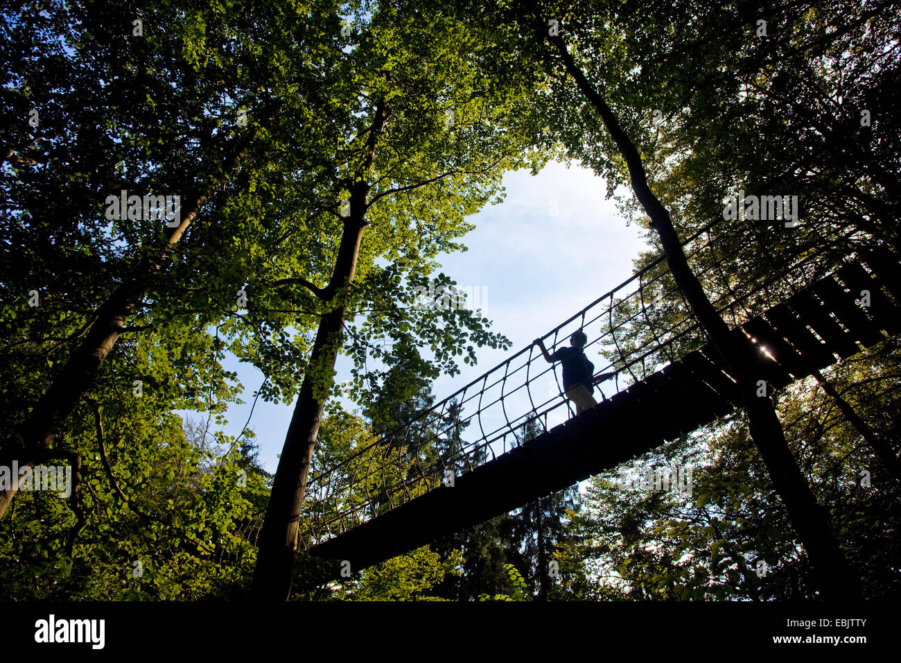 Donna sull'evento ondeggianti ponte di sospensione al Rothaarsteig presso il villaggio Kuehhude, in Germania, in Renania settentrionale-Vestfalia, Siegerland, Bad Berleburg Foto Stock