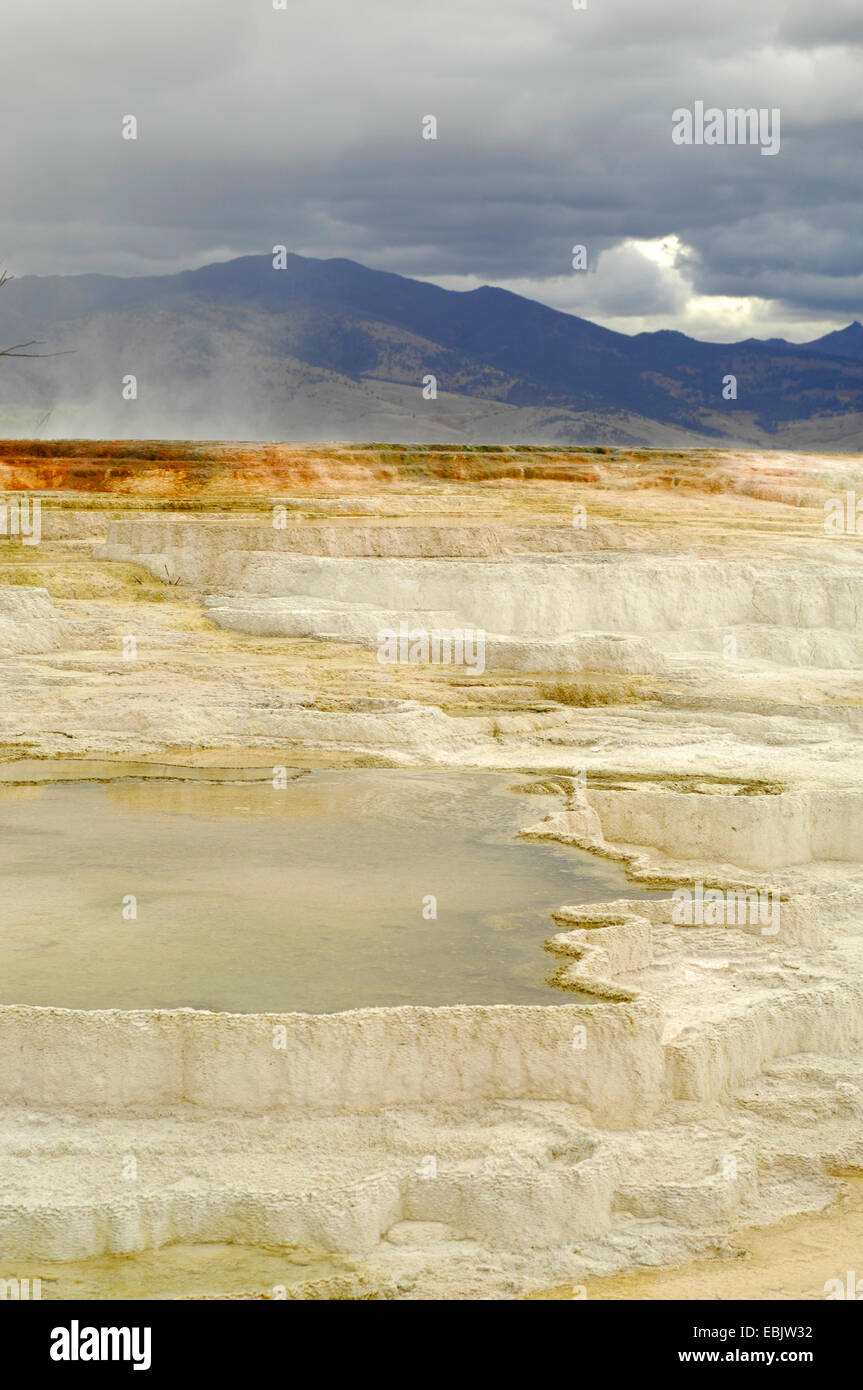 Terrazze di agglomerato di Mammoth Hot Springs, Stati Uniti d'America, Wyoming, il Parco Nazionale di Yellowstone Foto Stock