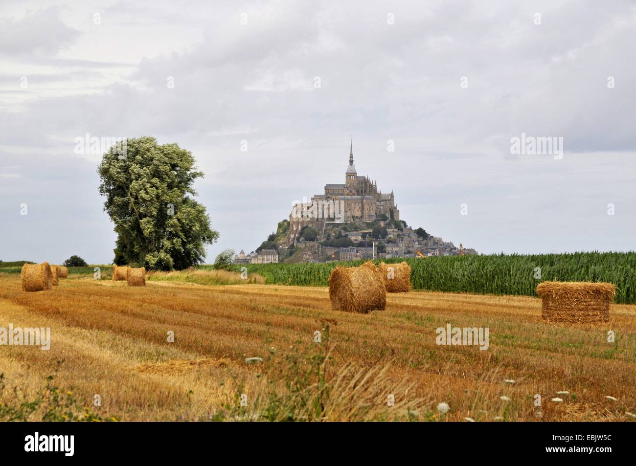 Le Mont Saint Michel, Francia, Normandia, Le Mont Saint Michel Foto Stock