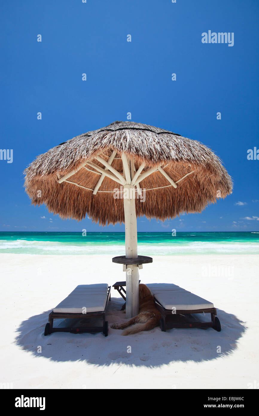 Sedie di tela e ombrellone sulla meravigliosa spiaggia tropicale, Messico Tulum Foto Stock