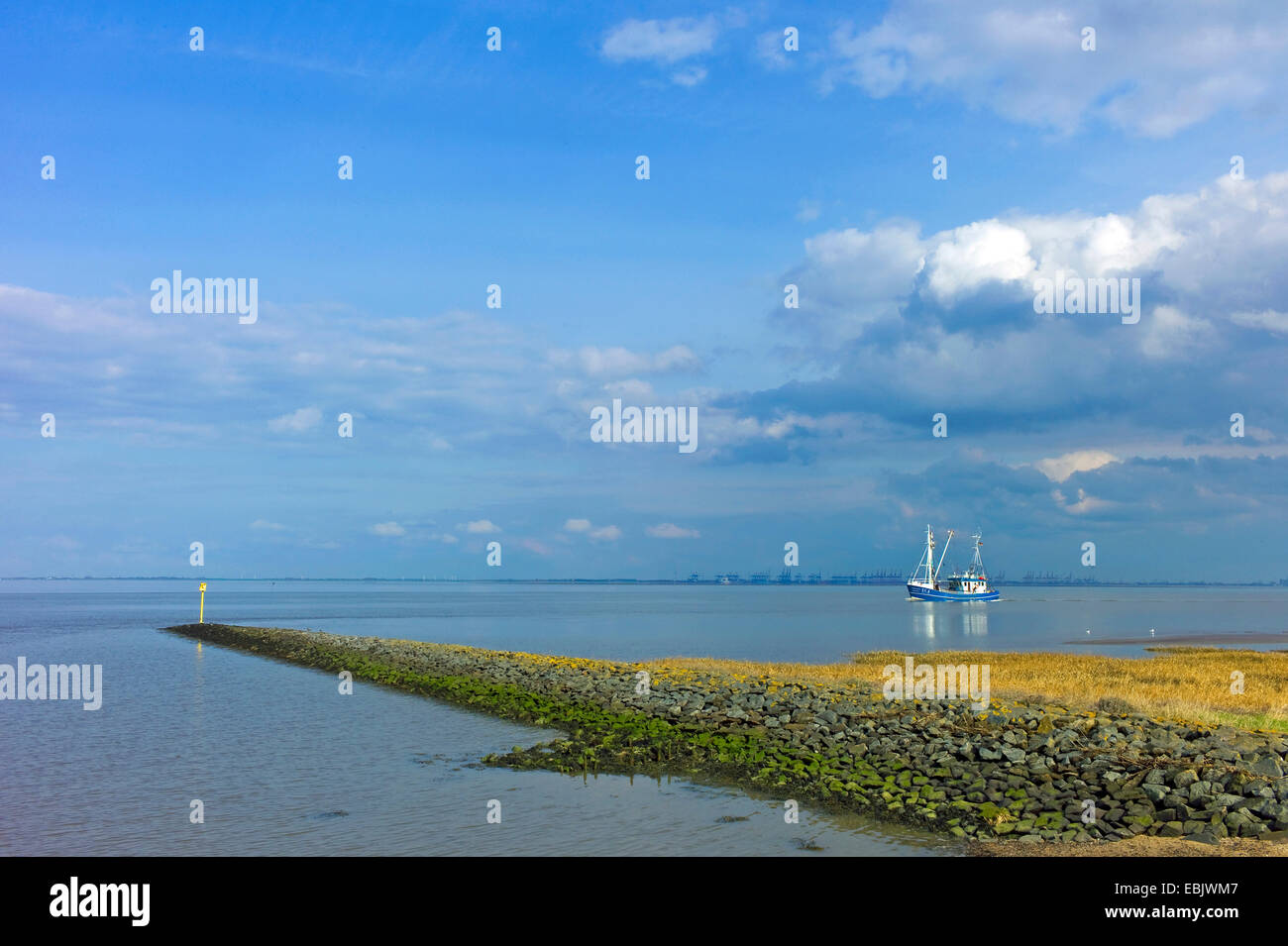 Sperone dyke e pescherecci con reti da traino adibiti alla pesca di gamberetti, Germania, Bassa Sassonia, Bassa Sassonia il Wadden Sea National Park, Wesermarsch Foto Stock