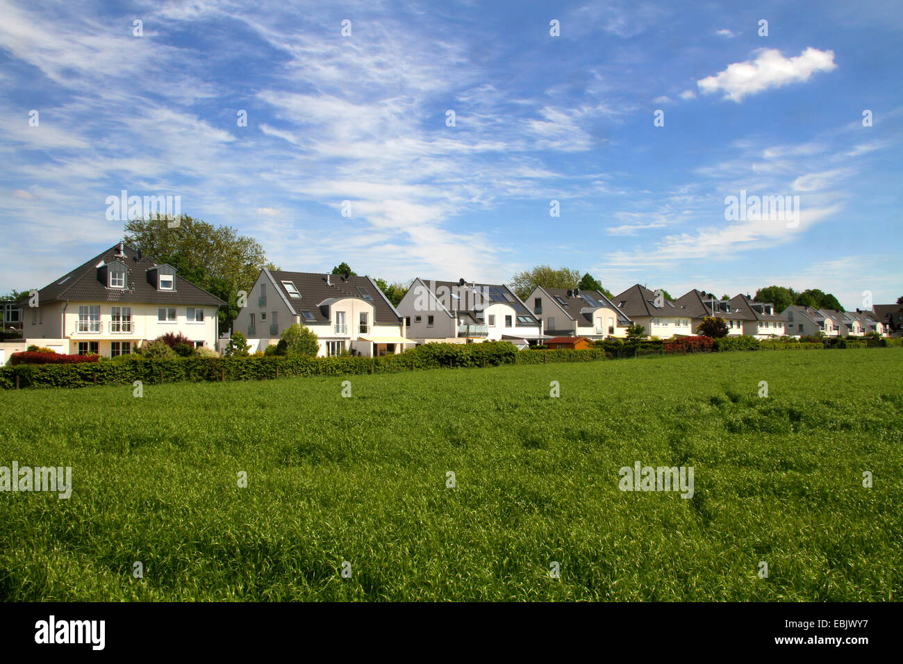 Campo di mais e area di sviluppo, Germania Nordrhein Westfalen, la zona della Ruhr, Essen Foto Stock