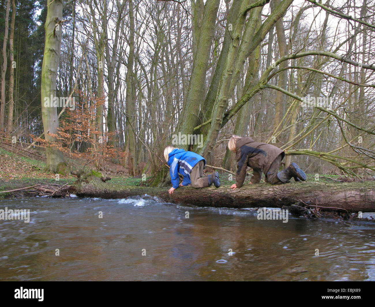Due bambini strisciando su un gambo di albero su una foresta creek, Germania Foto Stock