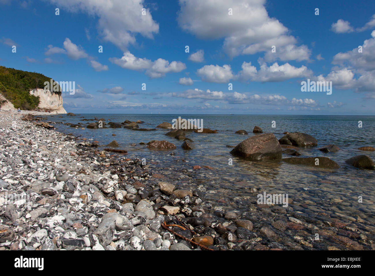 Chalk scogliere con albero morto caduto, la Germania, Meclemburgo-Pomerania, Ruegen, Jasmund National Park Foto Stock