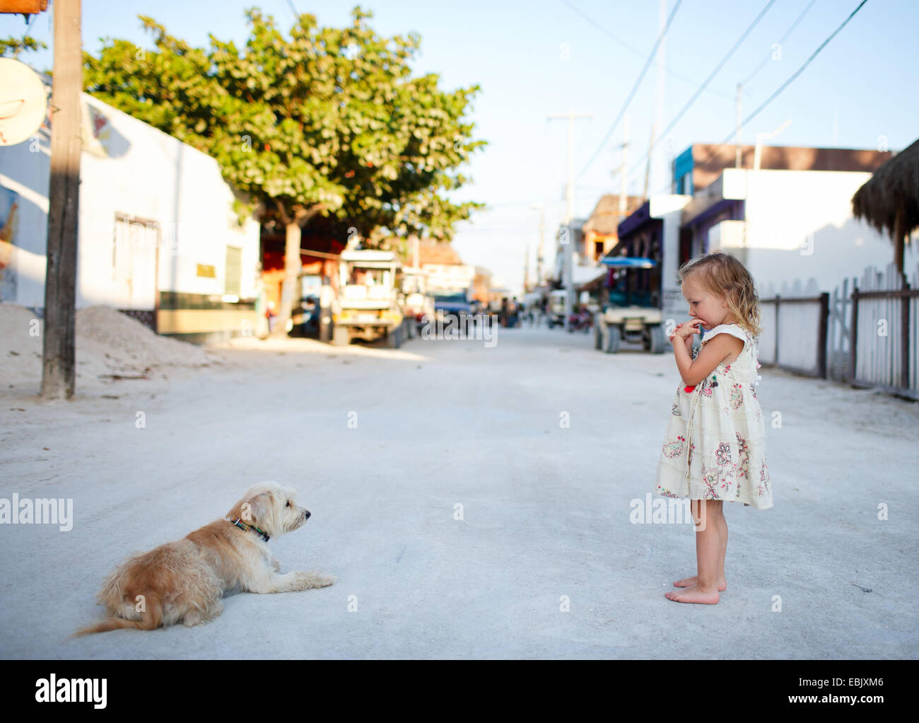 Razza cane (Canis lupus f. familiaris), strayer e bambina e cane all'aperto presso le piccole città del Messico, Messico Foto Stock
