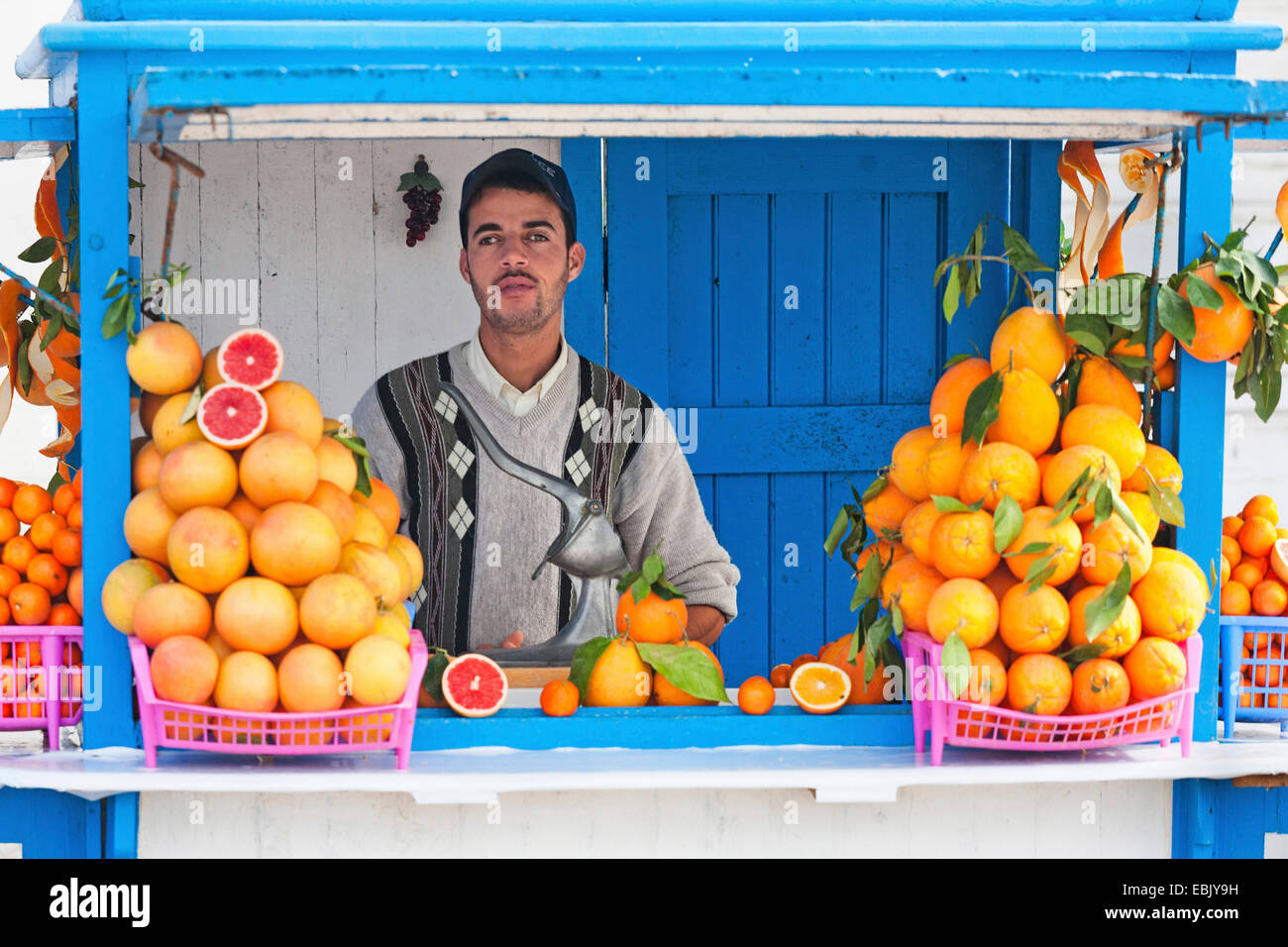 Venditore di succo d'arancia fresco, Marocco Essaouira Foto Stock