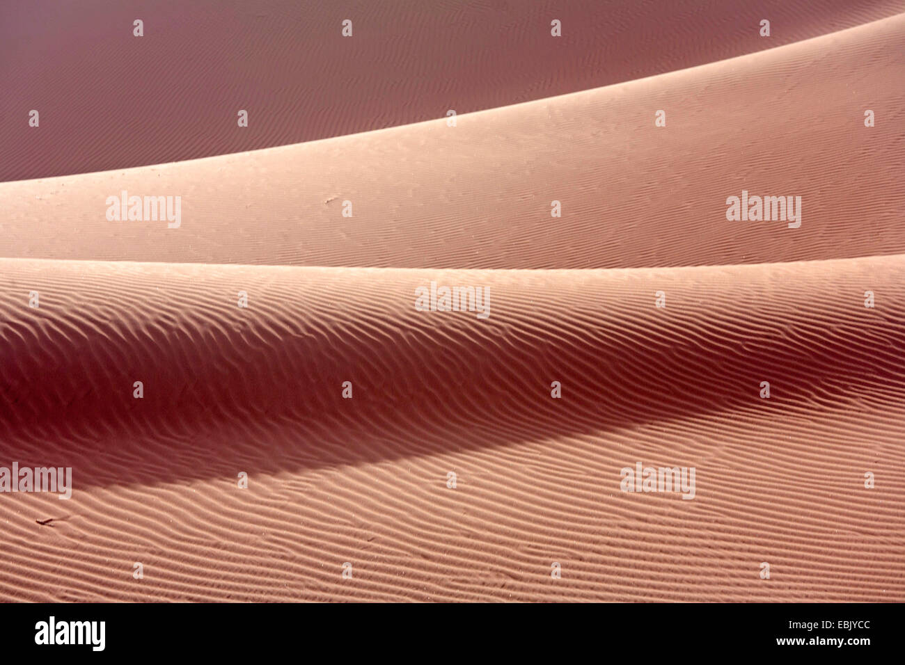 Dune; cresta dorsale di dune nel deserto del sud del Marocco, Marocco, Souss-Massa-DaraÔ, Erg Chegaga Foto Stock