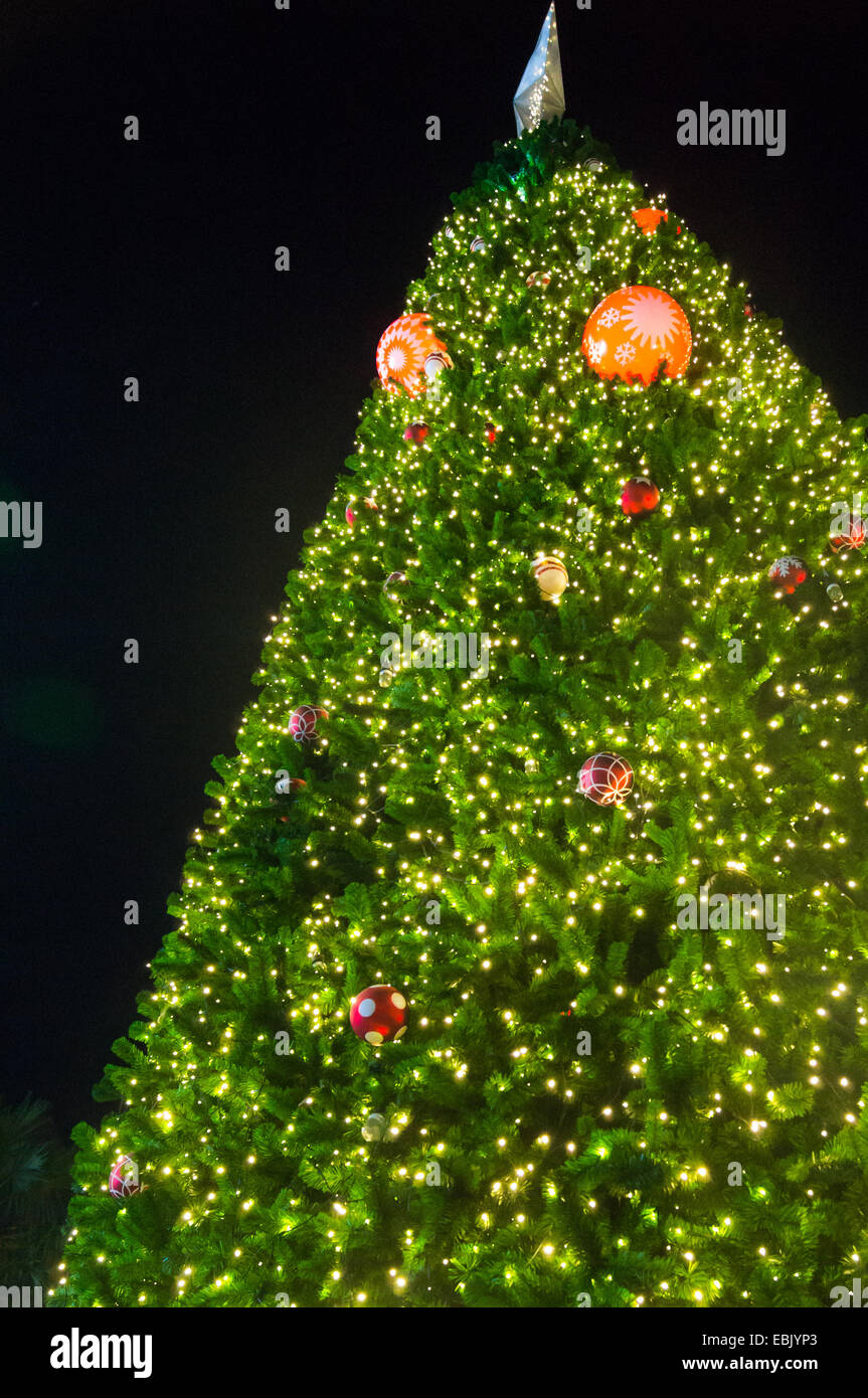 Albero di natale in vista superiore Foto Stock