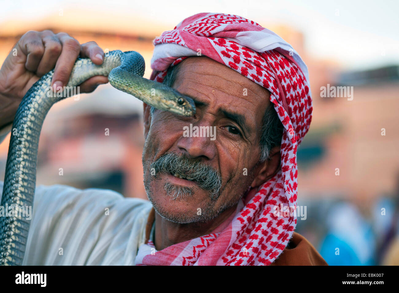 Il serpente incantatore, Marocco Marrakech Foto Stock