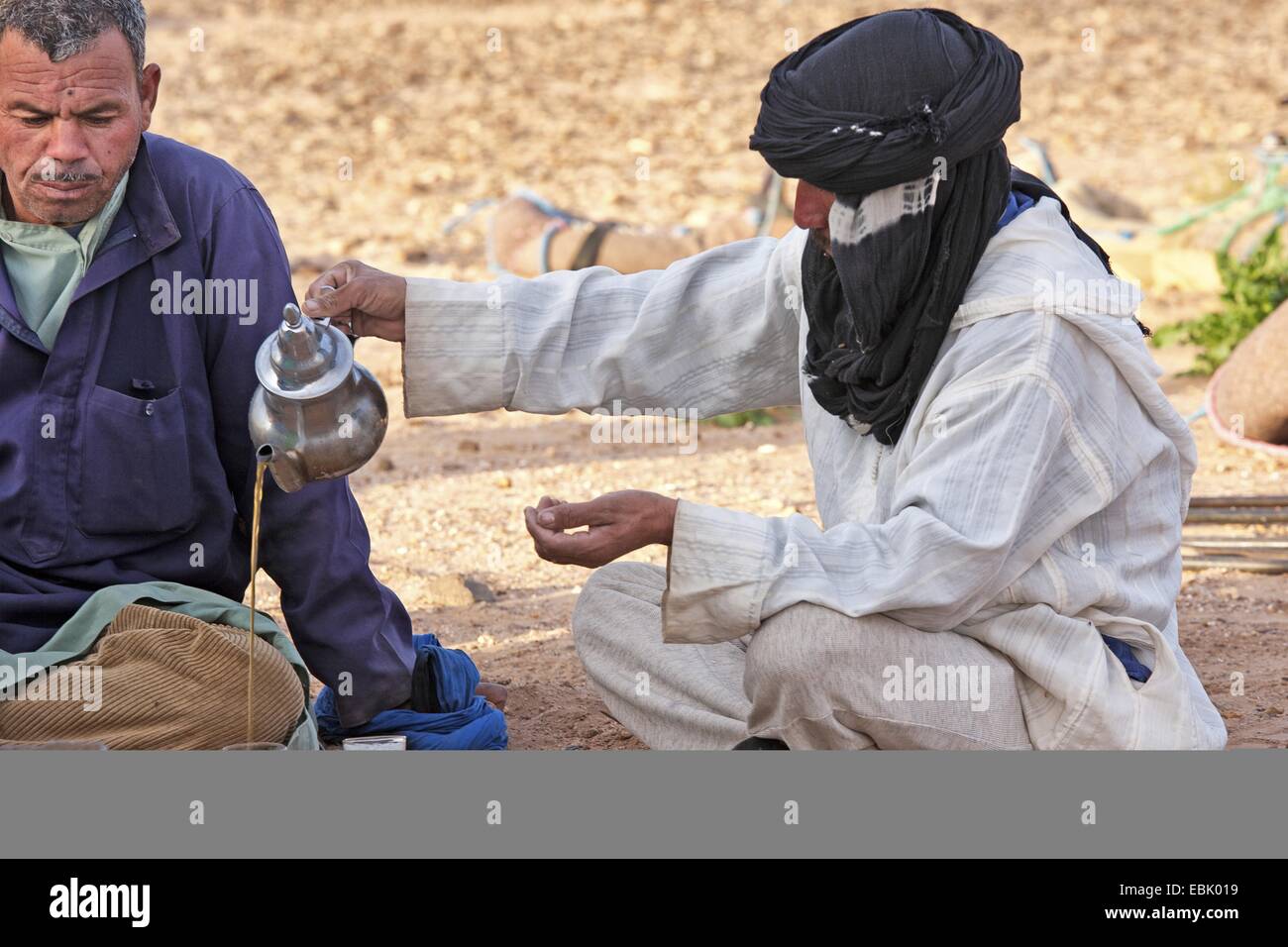 Cameleers bere il tè nel deserto del Sahara, Marocco, Souss-Massa-DaraÔ Foto Stock