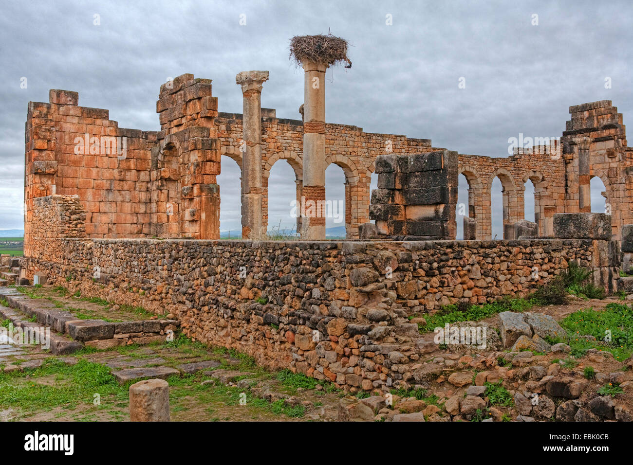 Sito archeologico di Volubilis (Walili), casa ruine, Marocco, Meknes Foto Stock