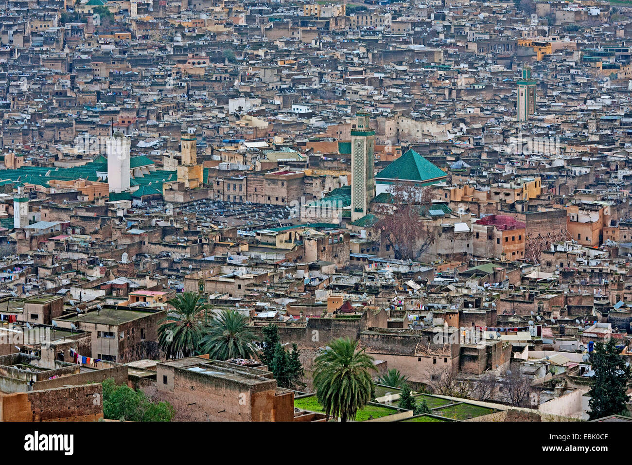 Vista dalla fortezza Borj Sud della città vecchia di FÚs, Marocco, Fes Foto Stock