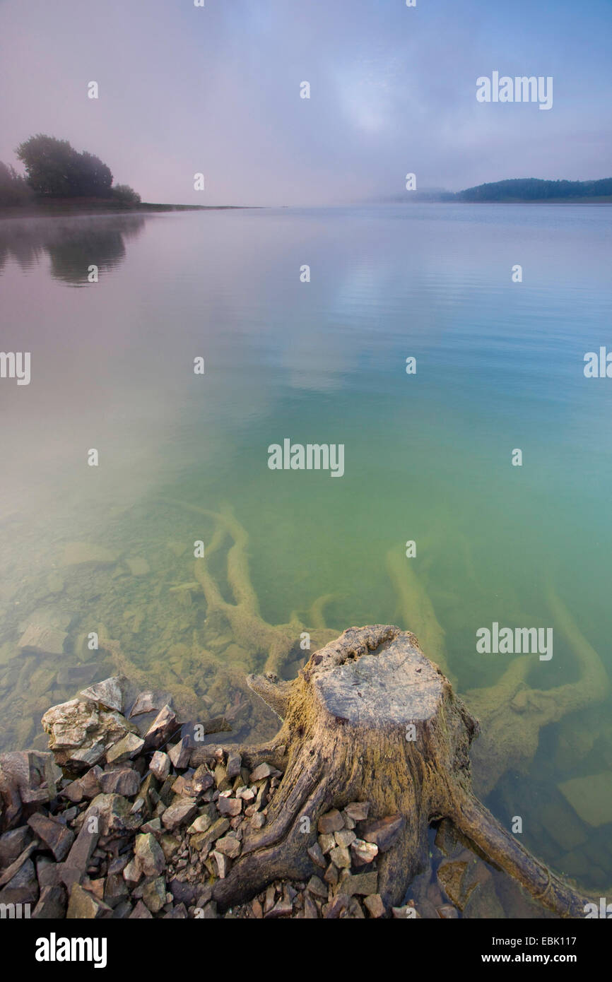 Tree snag al lago Poehl, in Germania, in Sassonia, Vogtlaendische Schweiz Foto Stock