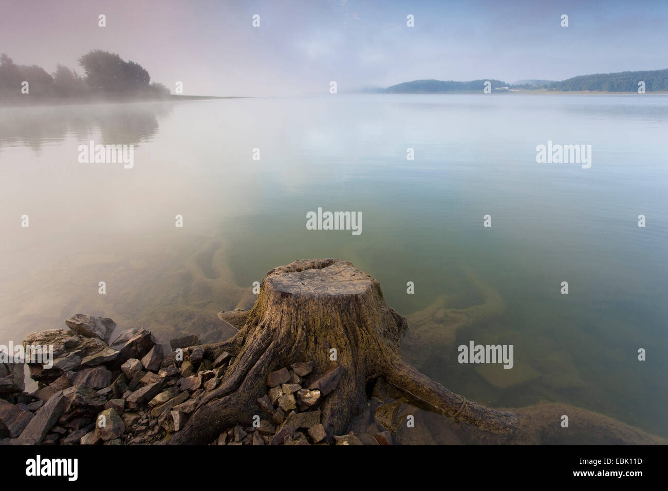 Tree snag al lago Poehl, in Germania, in Sassonia, Vogtlaendische Schweiz Foto Stock