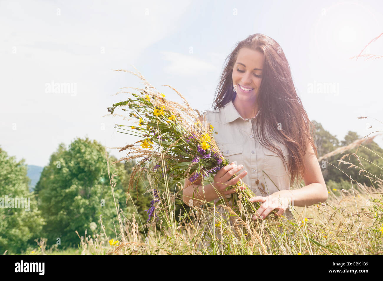 Giovane donna holding mazzetto di raccolti freschi fiori di campo in campo Foto Stock