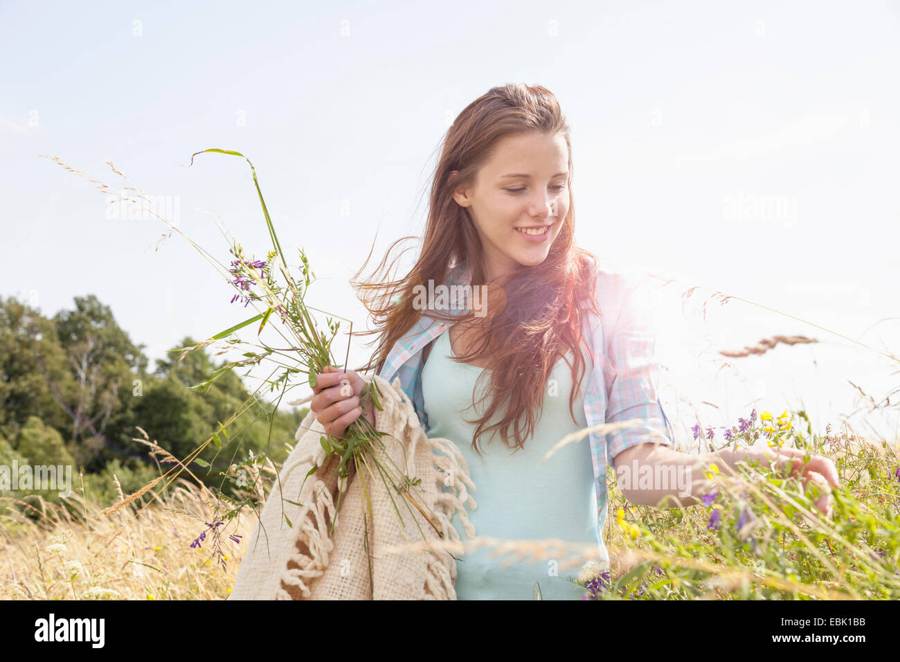 Giovane donna picking freschi fiori di campo in campo Foto Stock