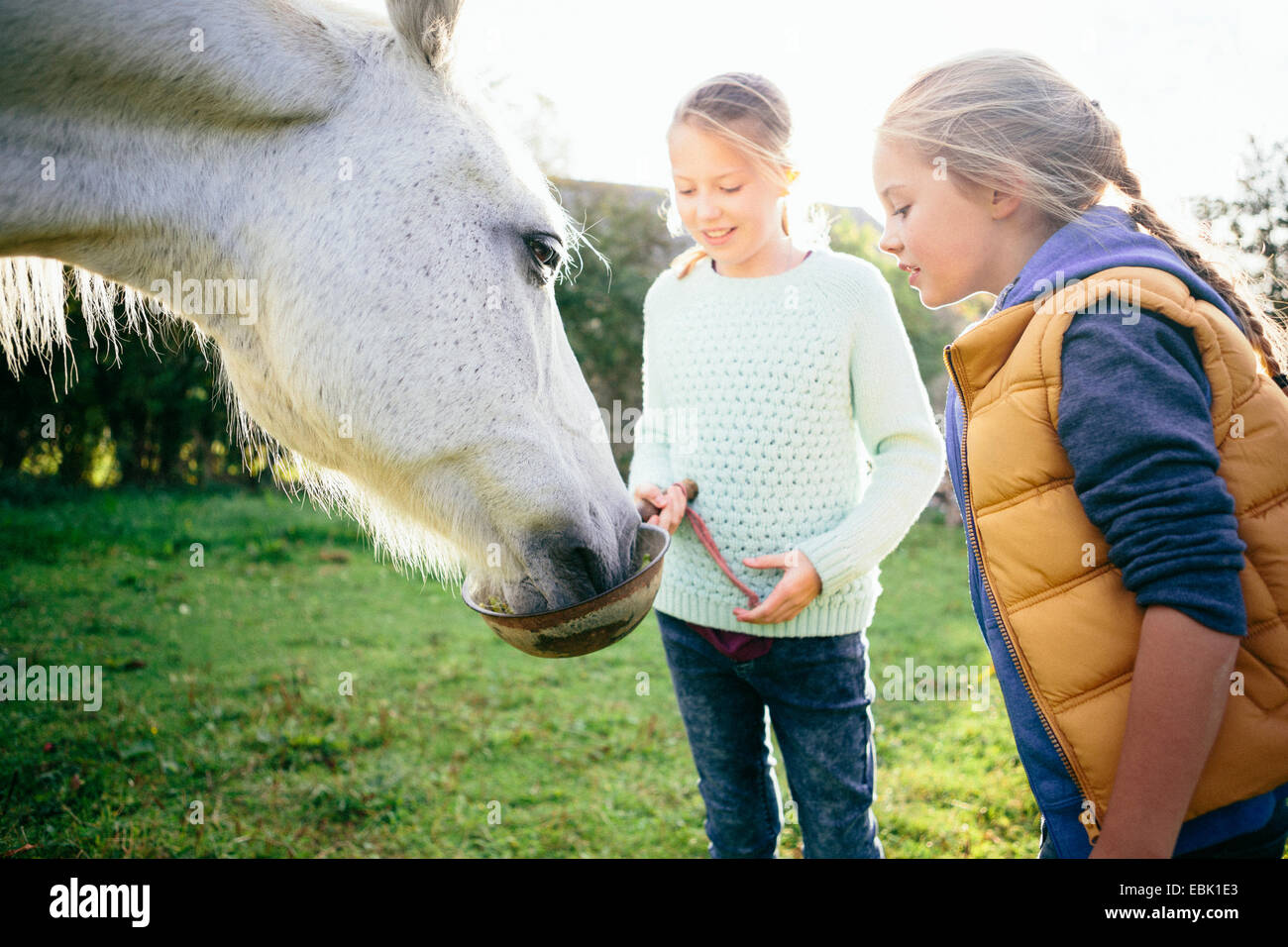Due ragazze cavallo di alimentazione Foto Stock