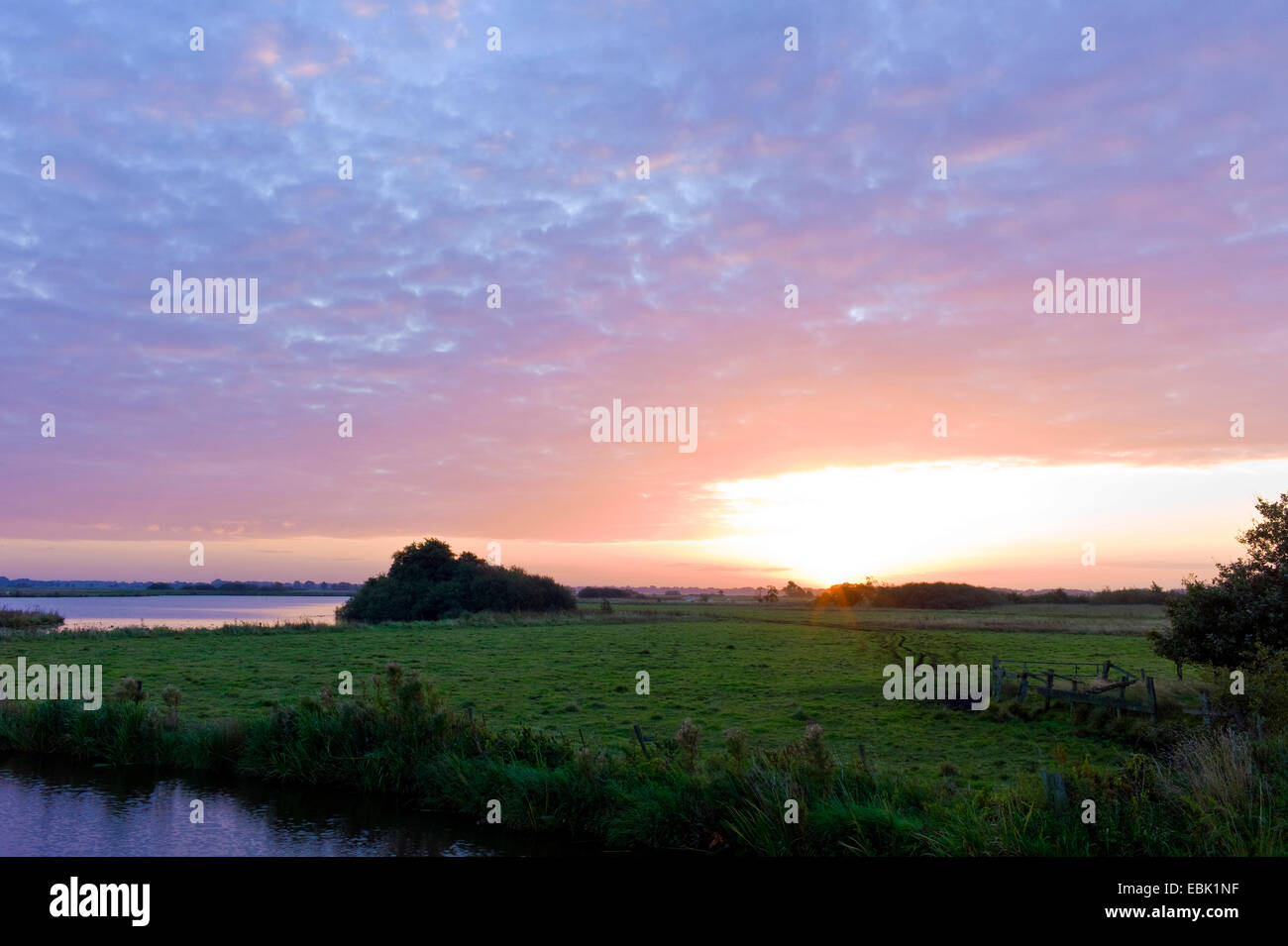 Sunrise presso la riserva naturale Breites Wasser, Germania, Bassa Sassonia, Worpswede Foto Stock