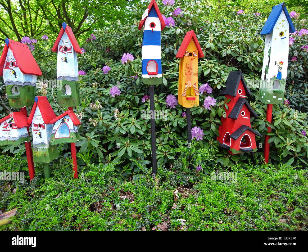 Colorate case di uccelli in un giardino Foto Stock