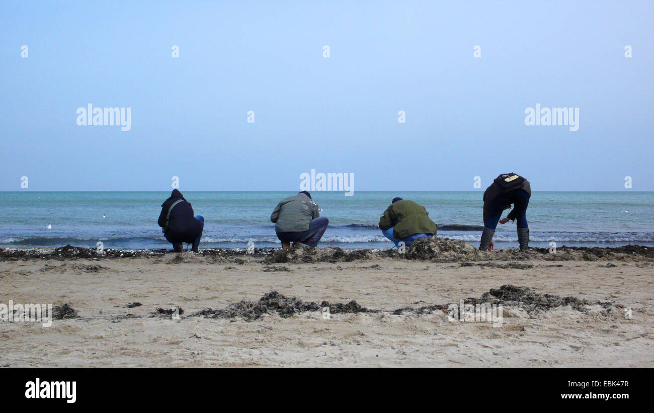 Ambra asilo presso la spiaggia di sabbia, Germania, Meclemburgo-Pomerania, Ruegen, Binz Foto Stock