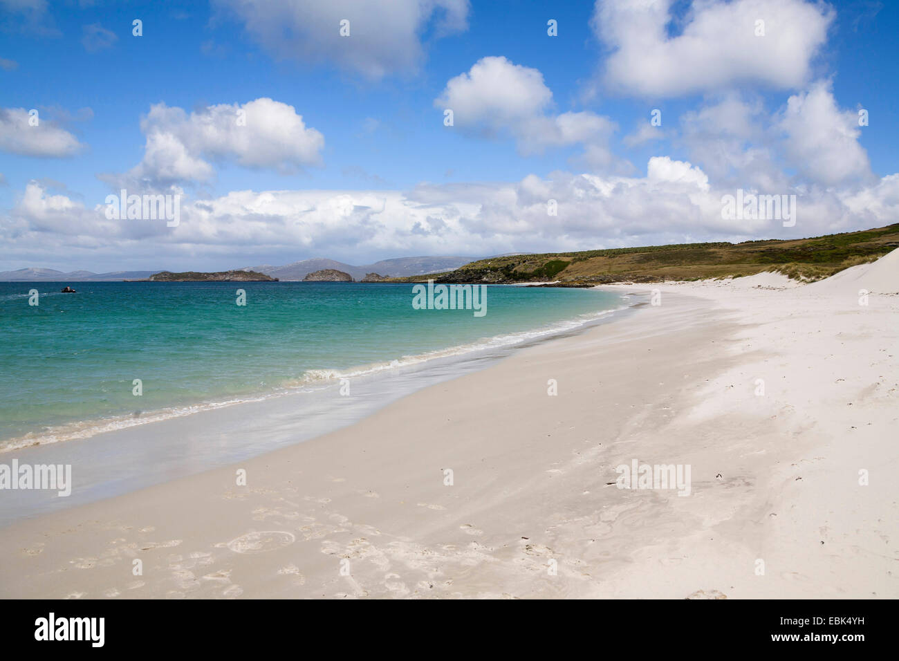 Vista panoramica sulla spiaggia di sabbia, Isole Falkland, West Falklands, Isola di carcassa Foto Stock