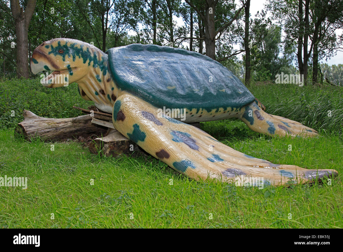 Archelon (Archelon ischyros), noto più grande tartaruga seaa, estinto Foto Stock