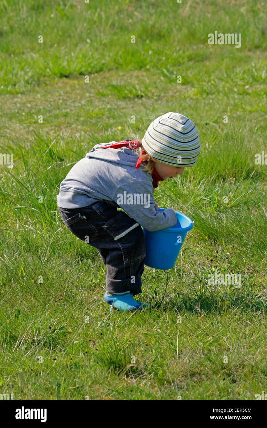 Little Boy raccogliere fiori , Germania, Bassa Sassonia Foto Stock