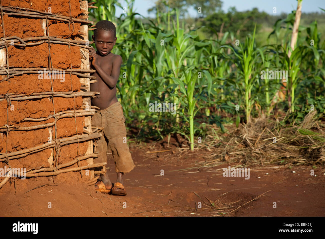 Little Boy il peering da dietro l'angolo di un umile casa di fango nella parte anteriore di un campo di mais, Burundi, vicino al Parco Nazionale de la Ruvubu, Cankuzo Foto Stock