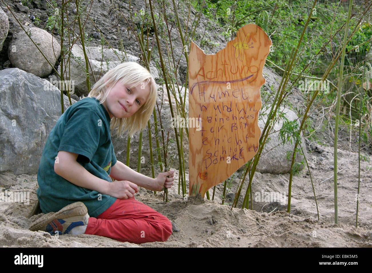 Ragazzo del giardino ha scoperto un selvaggio nido di api nella sabbia e lo protegge con un segno e un piccolo recinto di salice, Germania Foto Stock