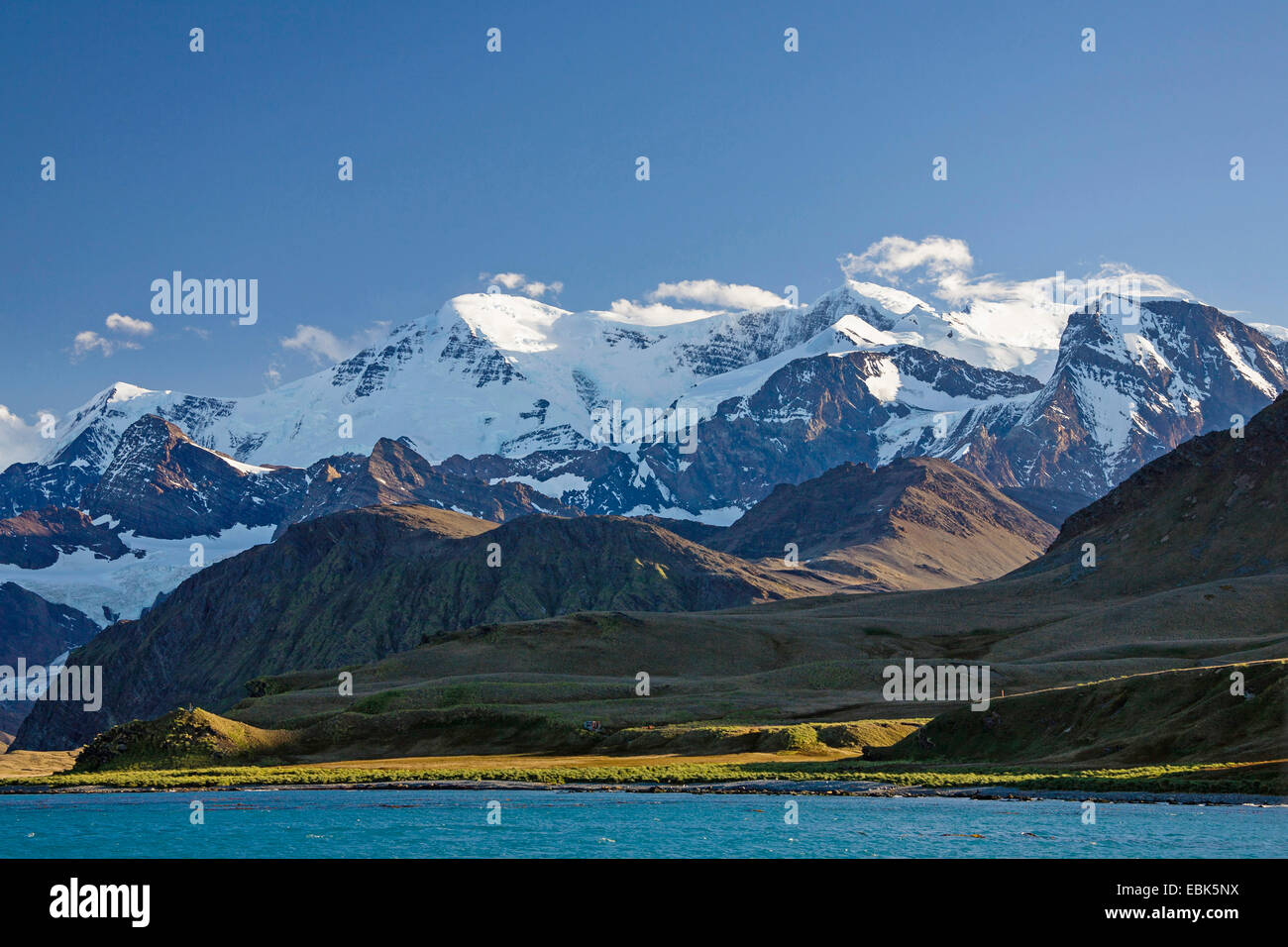 Paesaggio di montagna vicino a Grytviken, Suedgeorgien, Isole Sandwich del Sud Foto Stock