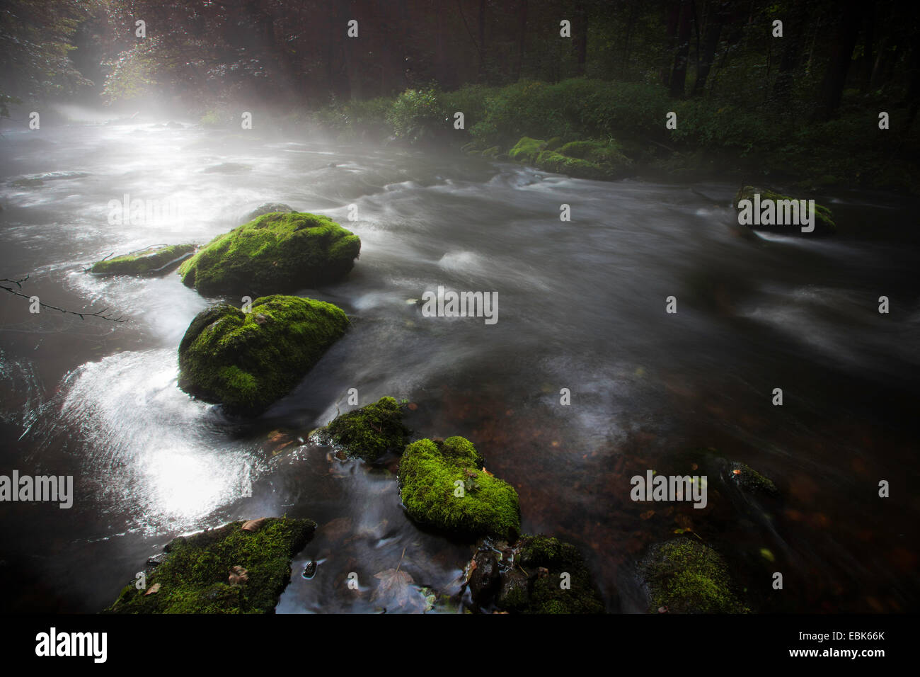 La nebbia su un fiume, Trieb valley, in Germania, in Sassonia, Vogtland Foto Stock