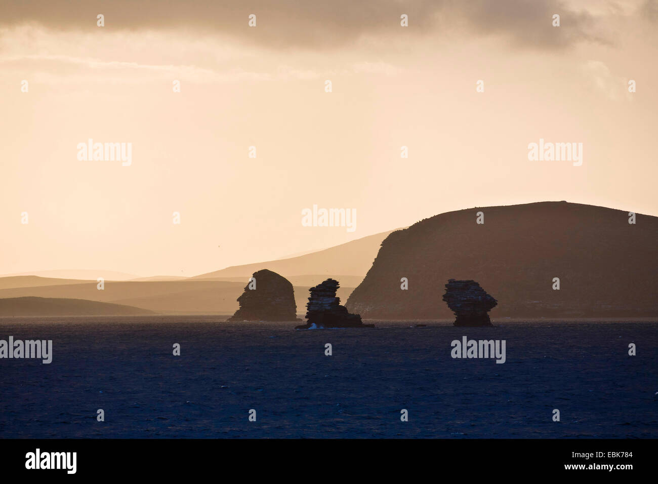 Lo scenario della costa di West Falkland, Isole Falkland Foto Stock