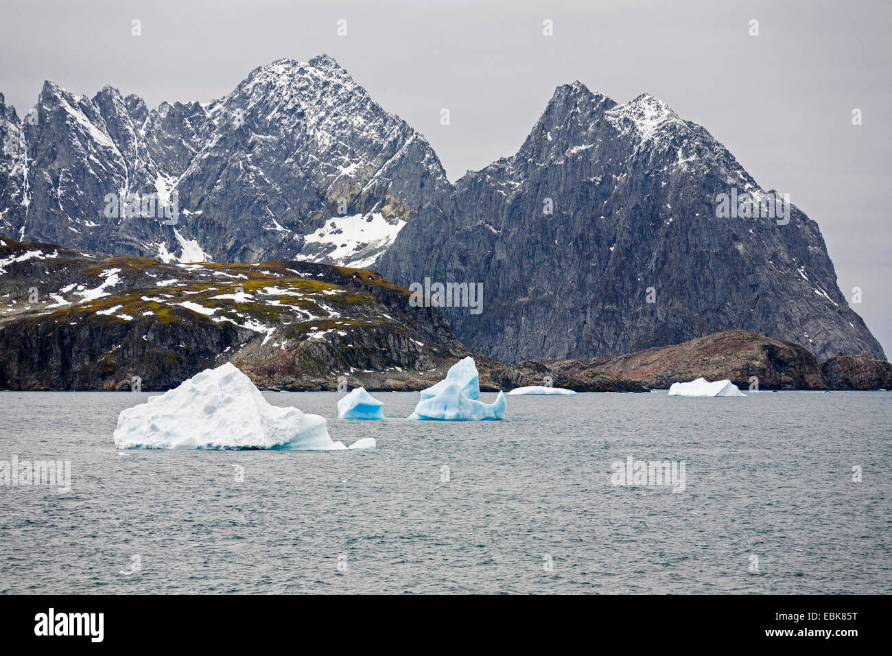 Laurie Isola, parte di alle Orcadi del Sud, nel sud dell'Oceano polare, Antartico, a sud delle Isole Orkney, Isola di Laurie Foto Stock