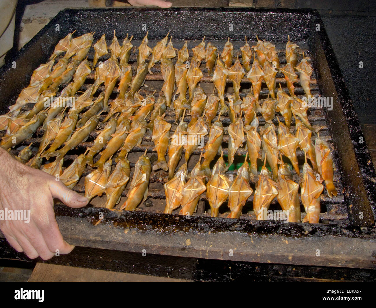 Char, charr, salmerino, Arctic charr (Salvelinus alpinus salvelinus), man tenendo un grill pieno di pesci affumicati in mano, in Germania, in Baviera, Koenigssee Foto Stock