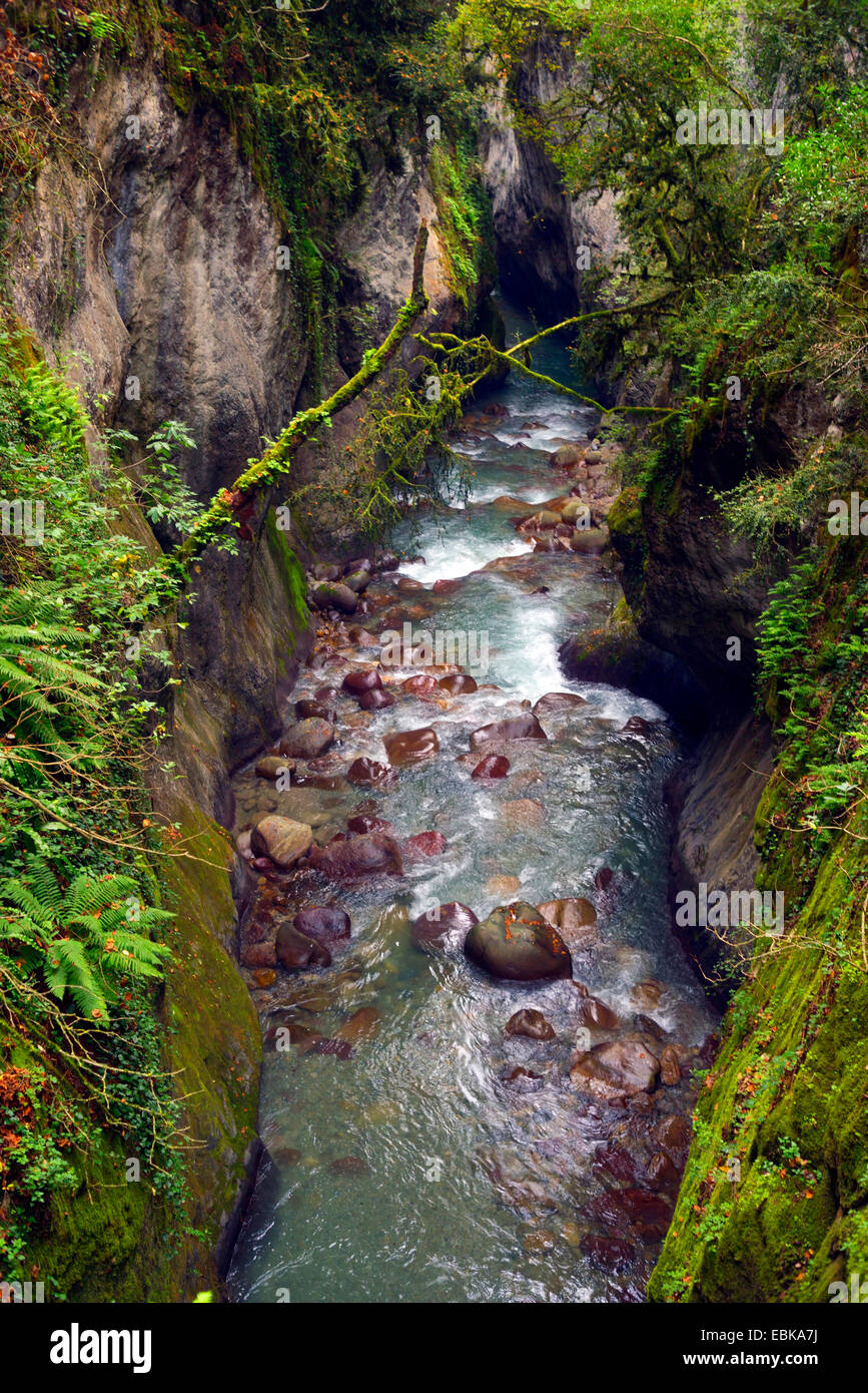 Visualizzare nel canyon del fiume VÚsubie (Gorges de la VÚsubie), Francia, il Parco Nazionale del Mercantour Foto Stock