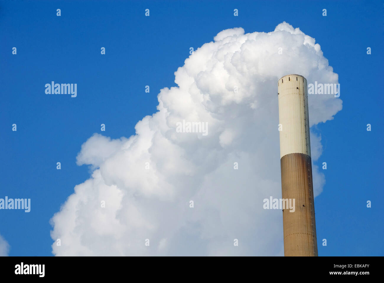 Camino di un disco di centrali elettriche a carbone nella parte anteriore di un cielo azzurro che simboleggia la "cambiamenti climatici", Germania, Bassa Sassonia, Peine, Mehrum Foto Stock