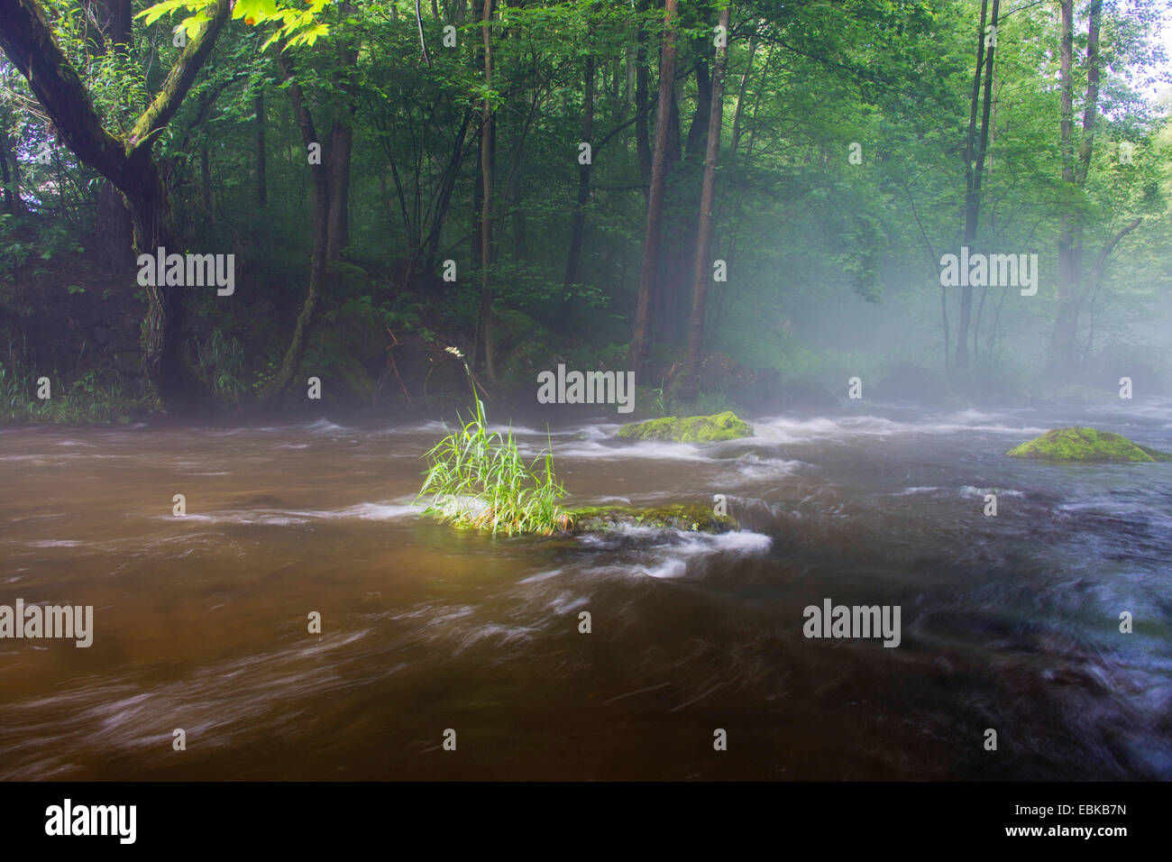 Al mattino presto haze oltre il fiume, in Germania, in Sassonia, Vogtlaendische Schweiz Foto Stock