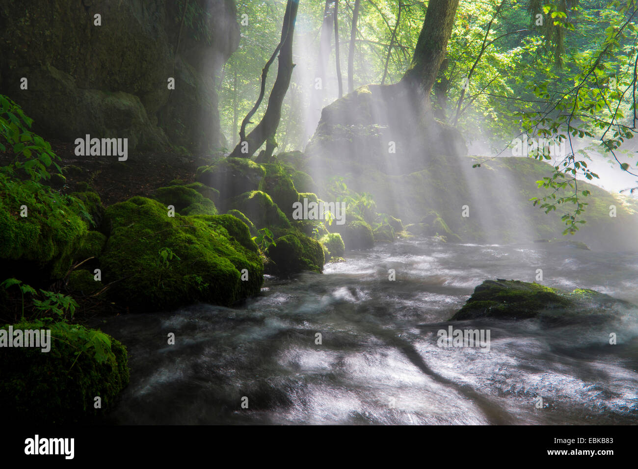 Raggi di sole rompere attraverso la nebbia oltre il fiume, in Germania, in Sassonia, Vogtlaendische Schweiz Foto Stock