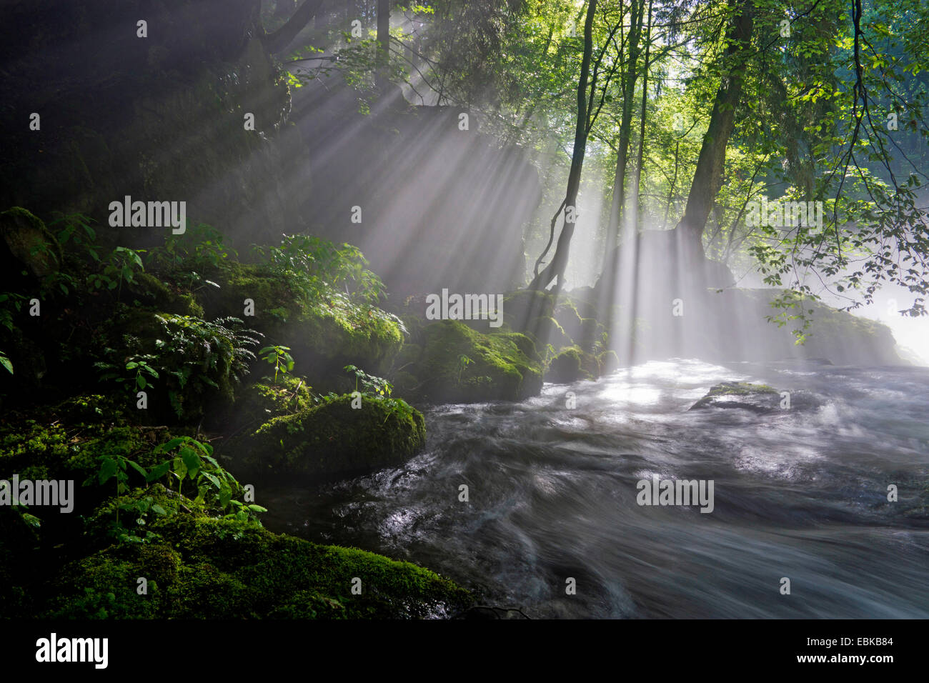 Raggi di sole rompere attraverso la nebbia oltre il fiume, in Germania, in Sassonia, Vogtlaendische Schweiz Foto Stock