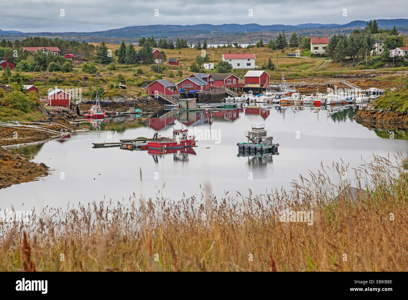 Piccolo porto nel fiordo con barche da pesca , Norvegia, Hitra, Fillan Foto Stock