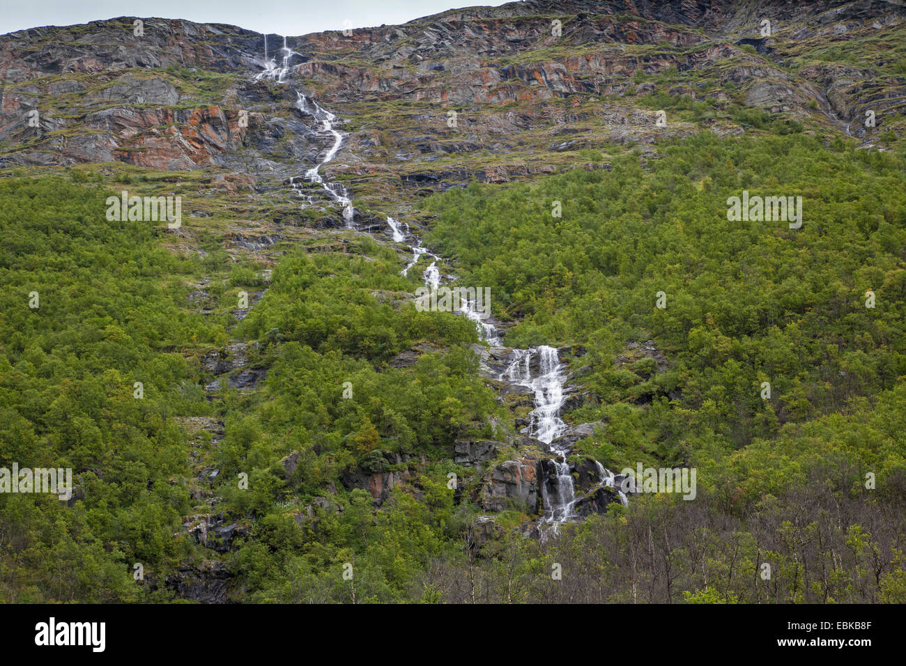 La cascata di Driva, Norvegia, Sunndalsfjella Dovrefjell National Park, Kongsvoll Foto Stock