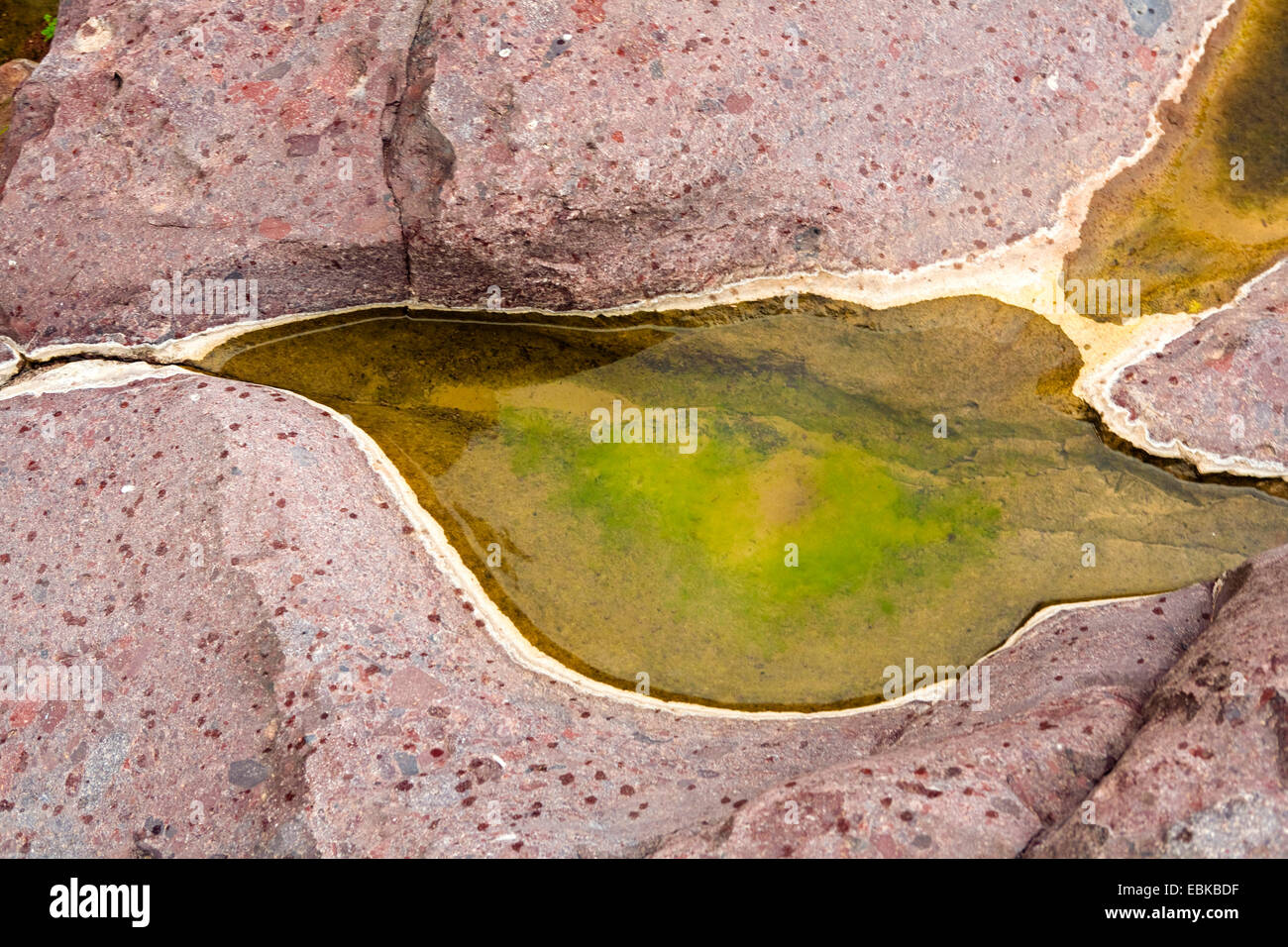 Pozza d'acqua, Marocco, Souss-Massa-DaraÔ, Djebel Sarhro, Antiatlas Foto Stock