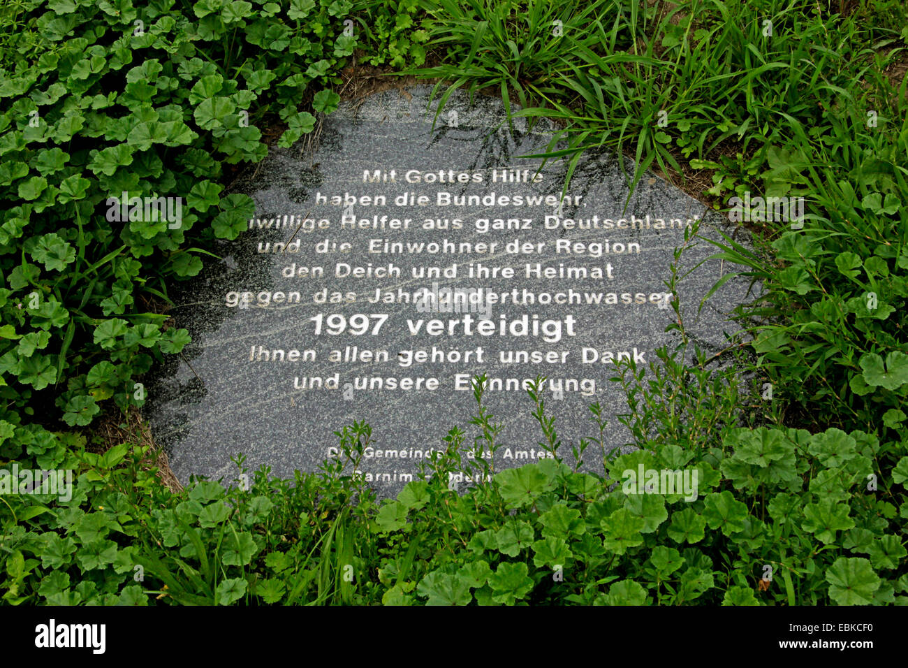 Monumento di pietra per l'Oder alluvione del 1997, la Repubblica federale di Germania, il Land Brandeburgo, Neuranft Foto Stock