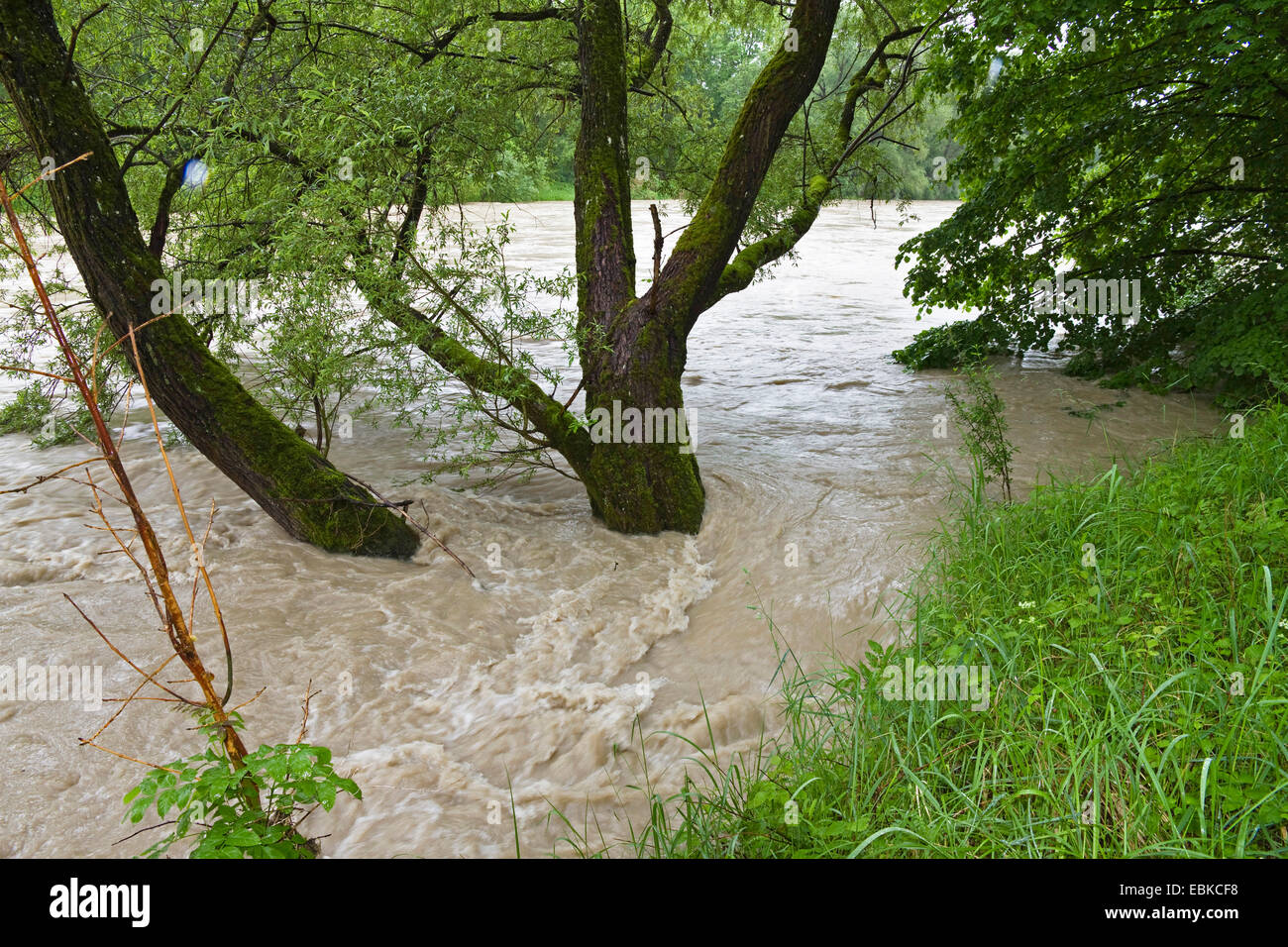 Inondati Isar pista ciclabile lungo il fiume Isar, in Germania, in Baviera, Alta Baviera, Baviera superiore Foto Stock